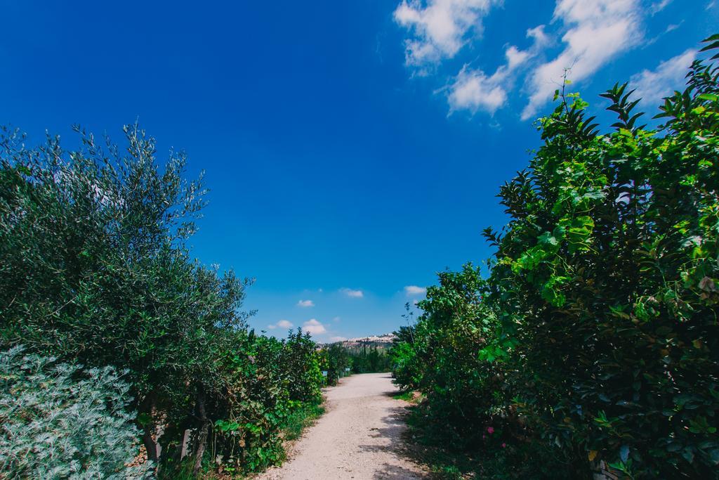 Tur Sinai Organic Farm Resort Jerusalem Exterior foto